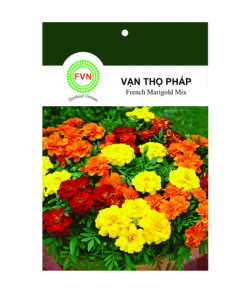 - Hạt giống Hoa vạn thọ Pháp FVN - Gói 20 hạt