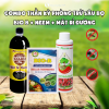 Combo thần kỳ phòng trừ sâu bọ BioB + Neem Chili + Mật Rỉ Đường