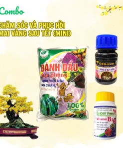 Combo chăm sóc và phục hồi mai sau Tết (Mini) - Tại CH TP. HCM