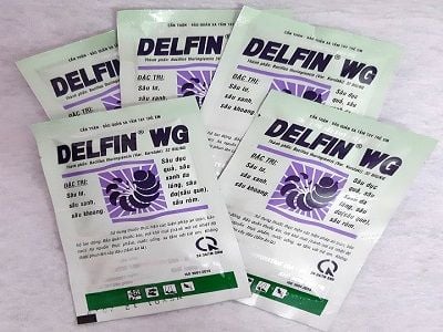 delfin-wg