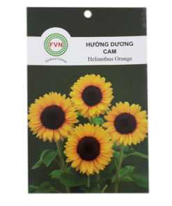 Hạt giống hoa Hướng Dương Cam FVN - Gói 12 hạt