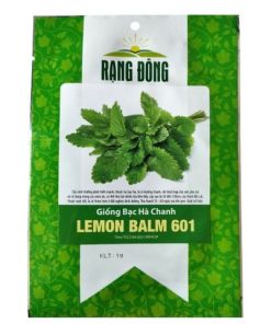 Hạt giống bạc hà chanh LEMON BALM 601 Rạng Đông