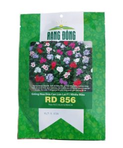 Hạt giống hoa dừa cạn lùn lai F1 nhiều màu RADO 856 Rạng Đông - Gói 0.03 gram