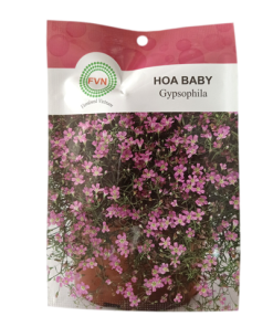 Hạt giống hoa baby FVN - Gói 5 hạt