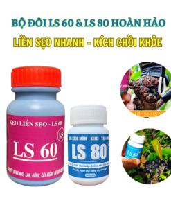 Bộ đôi LS60 & LS80 hoàn hảo liền sẹo nhanh - kích chồi khỏe