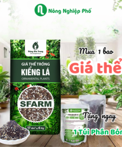 Giá thể trồng cây kiểng lá SFARM - Túi 17dm3 ~ 6kg