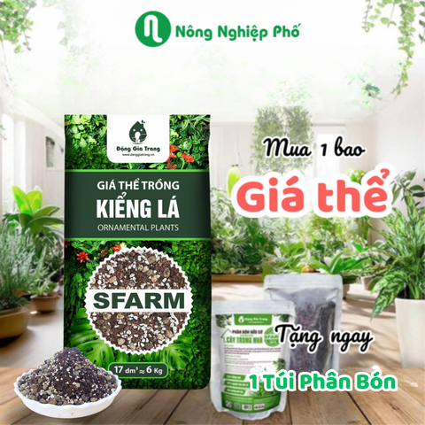 Giá thể trồng cây kiểng lá SFARM - Túi 17dm3 ~ 6kg