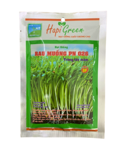 Hạt giống mầm rau muống HAPI PN - Gói 100 gram