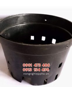 Chậu nhựa cứng trồng lan