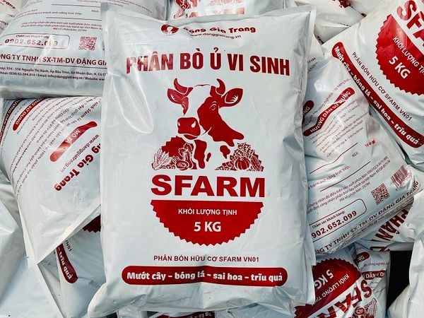 phan-bo-sfram