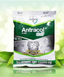 Thuốc trừ nấm bệnh cây trồng ANTRACOL 70WP