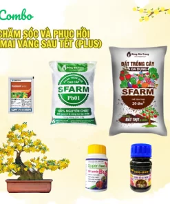 Vật tư trồng hoa mai