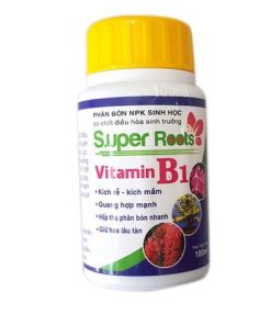 Chế phẩm Vitamin B1 Super roots - kích rễ bật mầm - chai 100ml