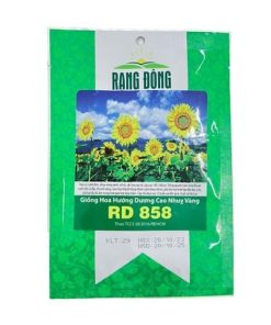 Hạt giống Hoa Hướng dương cao nhuỵ vàng RD 858 - Gói 1 gram