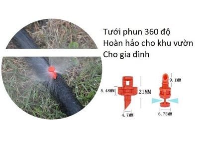 dau-tuoi-phun-suong