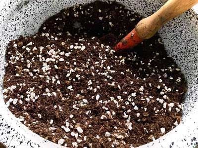 gia-the-soil-mix
