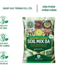 Soil Mix (2.5kg) - Giá thể trồng xương rồng, sen đá, thoát nước tốt, phòng ngừa thối rễ