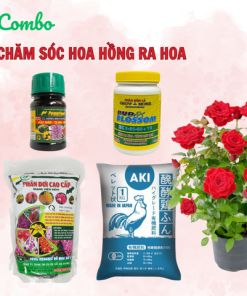 Combo chăm sóc hoa hồng ra hoa - Tại CH Đà Nẵng