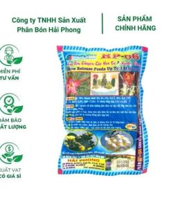 Phân bón chuyên dùng cho hoa sứ và xương rồng HP-06 - Gói 200 gram