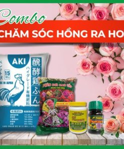 Combo chăm sóc hoa hồng ra hoa - Tại CH Hà Nội
