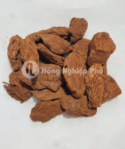 Vỏ thông đã xử lý – Chống nấm, giữ ẩm tốt, thoáng khí cho lan rừng