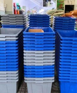 Chậu trồng rau Aquaponics 45L – Trồng rau củ quả, cây ăn trái tại nhà