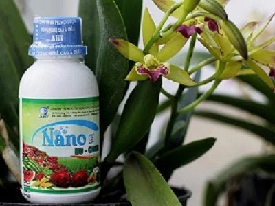 nano-bo-canxi