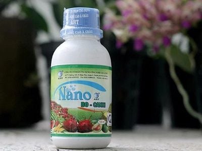nano-bo-canxi