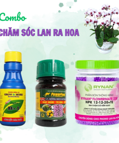 Combo chăm sóc hoa lan ra hoa - Tại CH Hà Nội